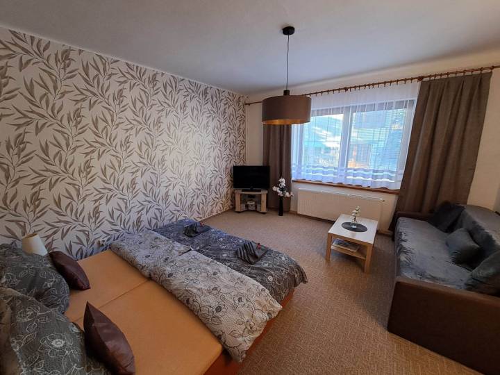 Apartmán v přízemí